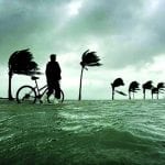 article image - 